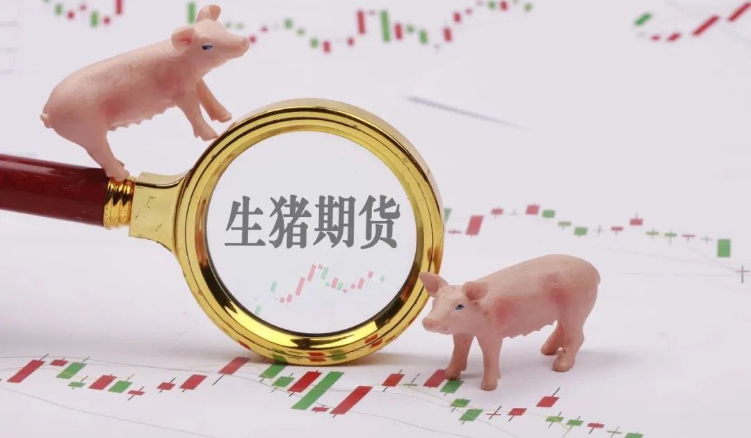 骑士乳业隐瞒期货巨亏被立案背后