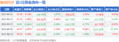 股票行情快报：魅视科技（001229）8月25日主力资