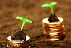 养老理财试点多维扩容：机构竞逐差异化 长钱活