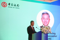 共商跨境使用与债券市场新机遇