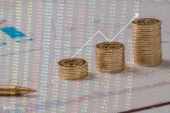 ST东通：因财务造假及欺诈 