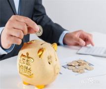 每日理财型基金收益 _理财型基金净值查询_ 天天